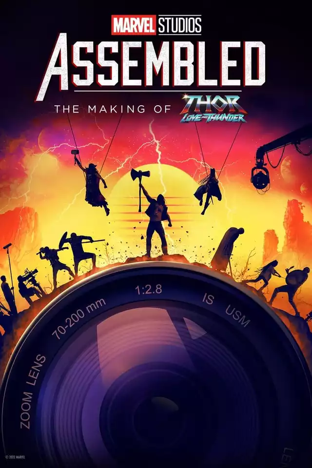movie vertical poster fallback