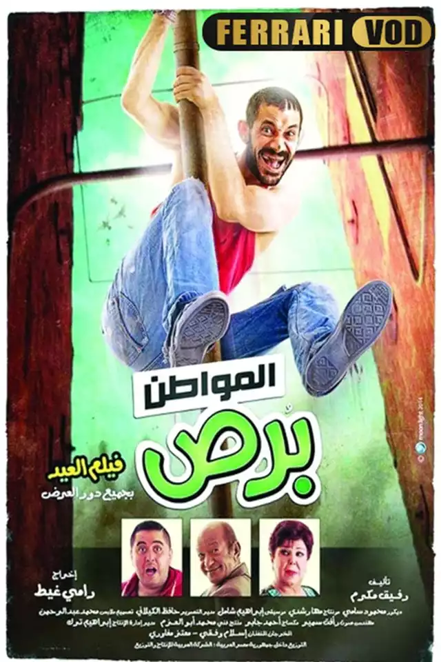 movie vertical poster fallback