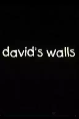 David's Walls