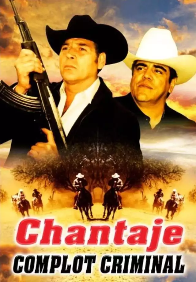 movie vertical poster fallback