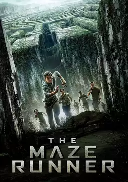 The Maze Runner
