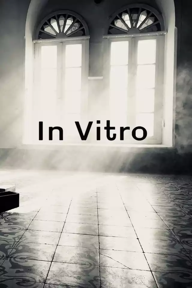 movie vertical poster fallback