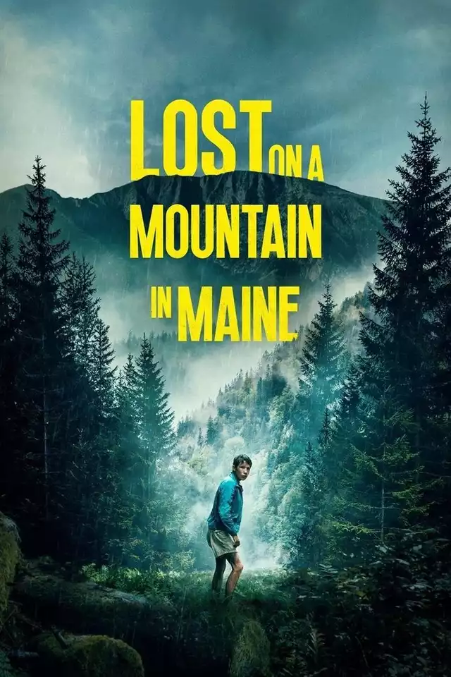 movie vertical poster fallback