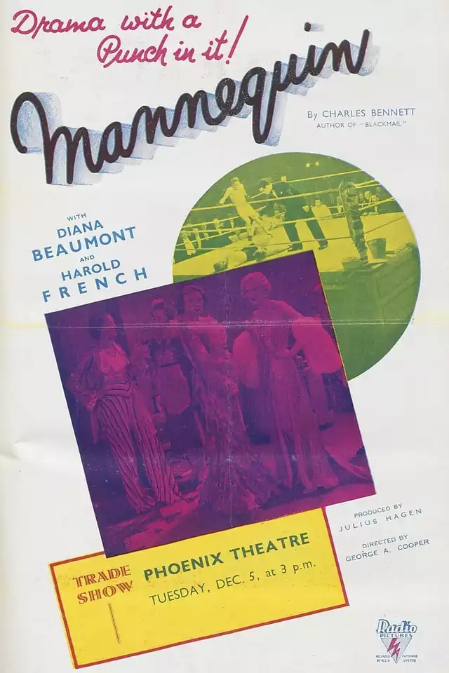 movie vertical poster fallback