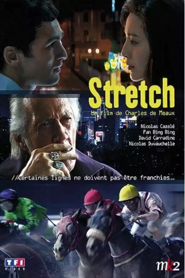 movie vertical poster fallback