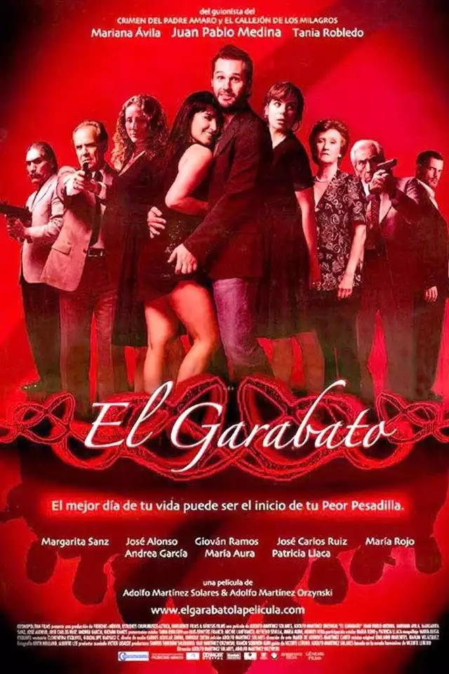 movie vertical poster fallback