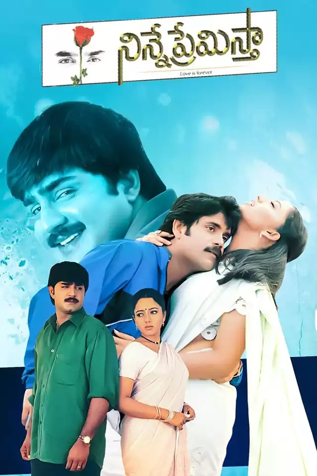 movie vertical poster fallback