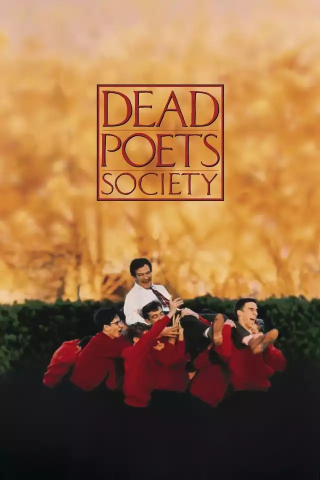 movie vertical poster fallback