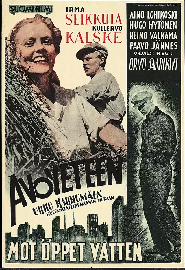 movie vertical poster fallback