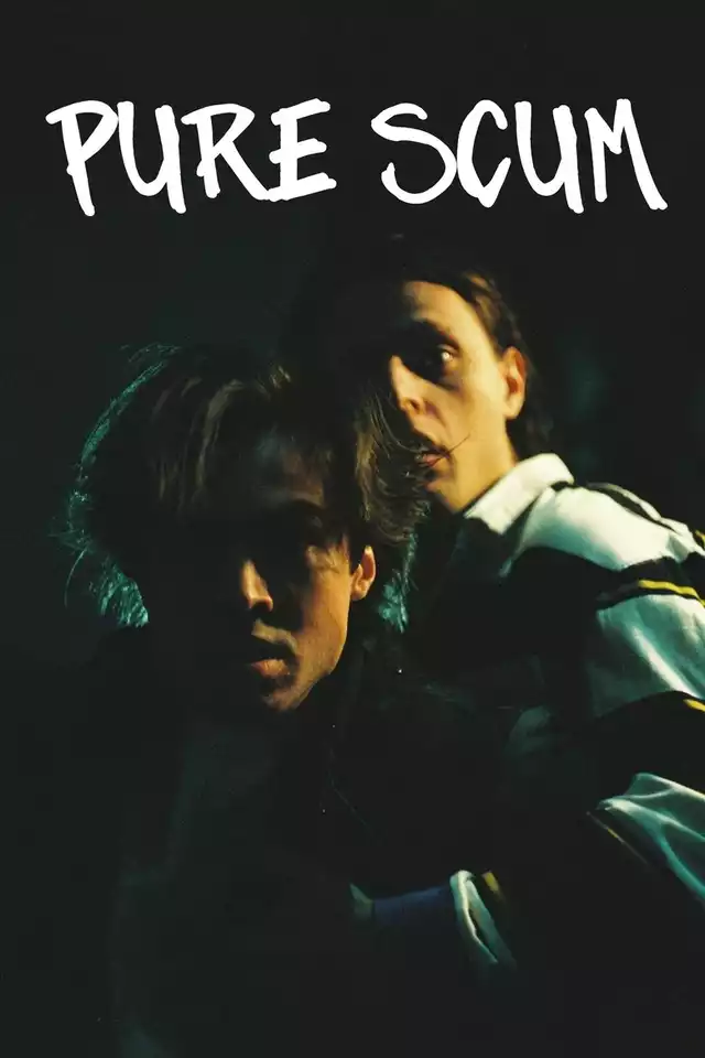 movie vertical poster fallback