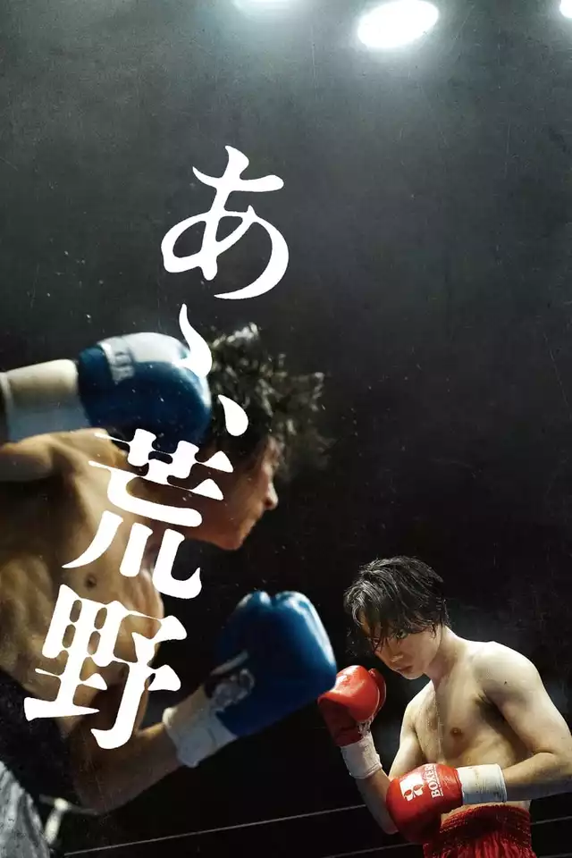 movie vertical poster fallback