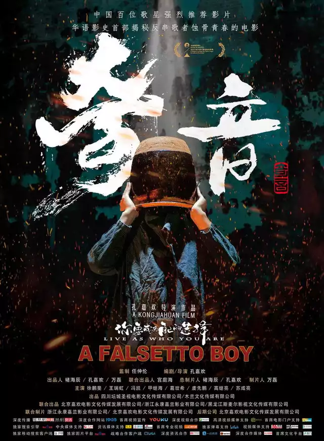 movie vertical poster fallback