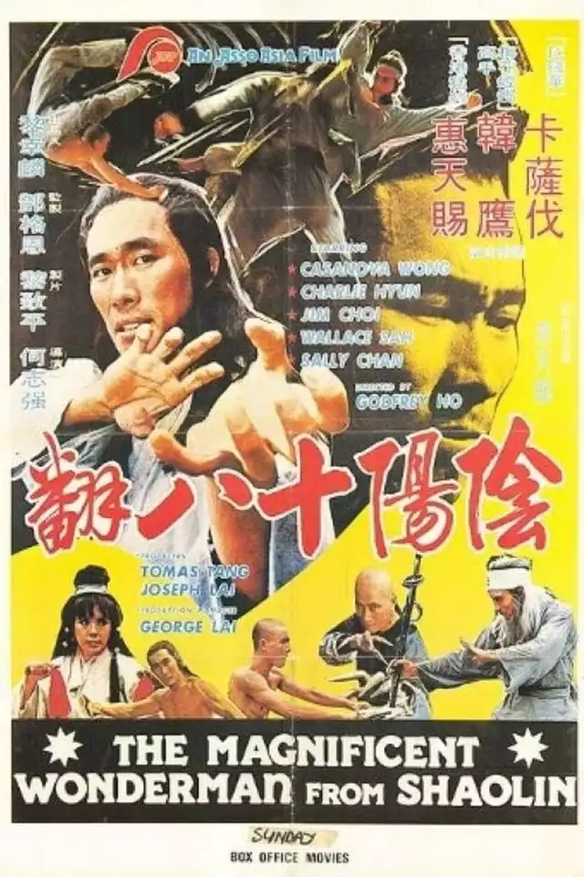 movie vertical poster fallback