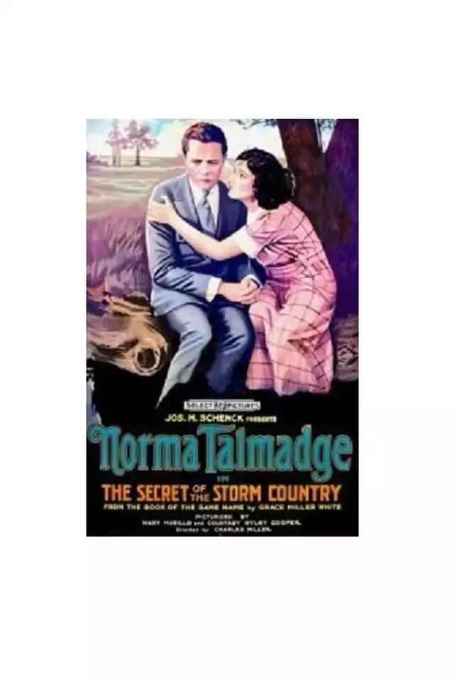 movie vertical poster fallback
