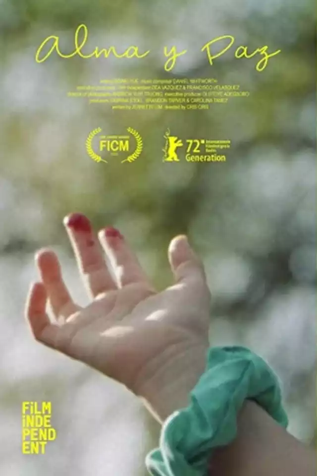 movie vertical poster fallback