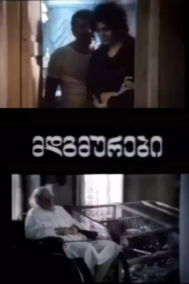 movie vertical poster fallback