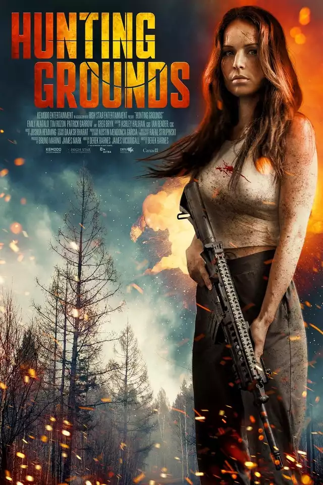 movie vertical poster fallback