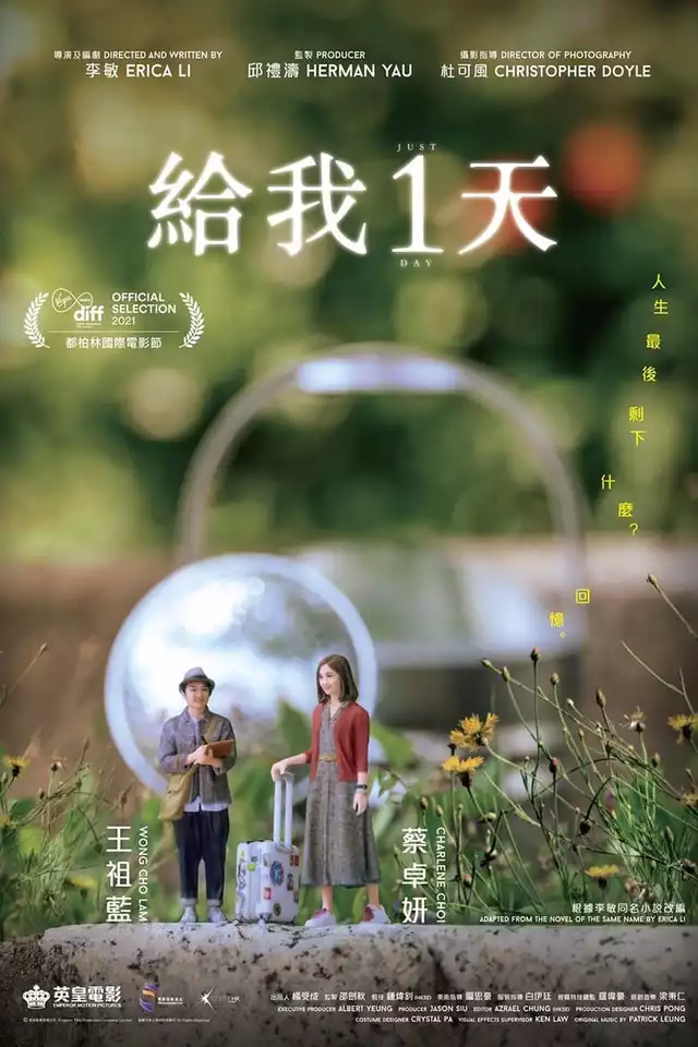 movie vertical poster fallback