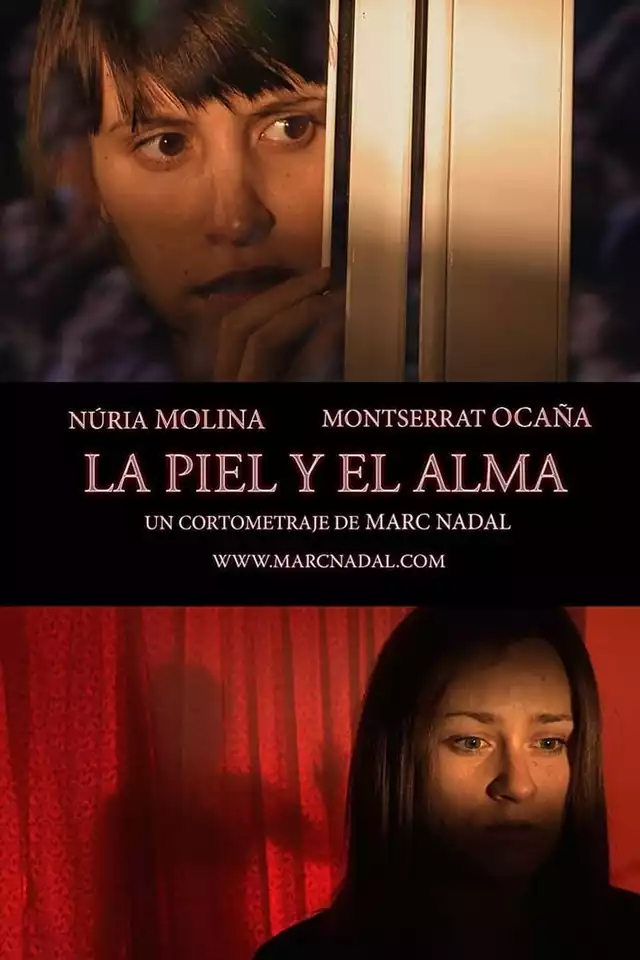 movie vertical poster fallback