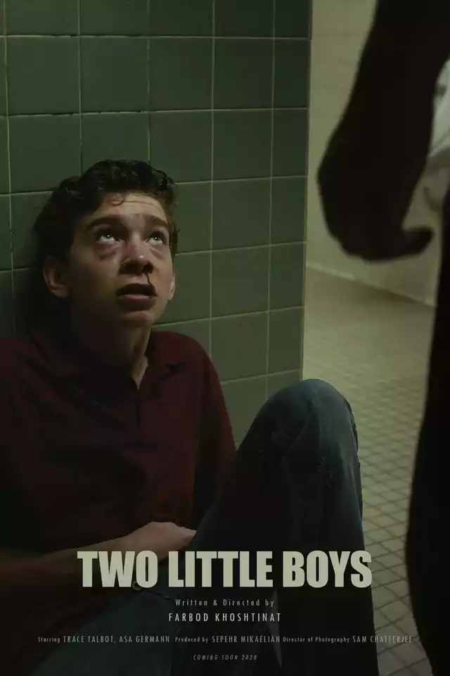 movie vertical poster fallback