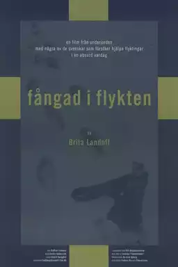 Fångad i flykten