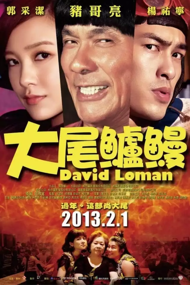 movie vertical poster fallback