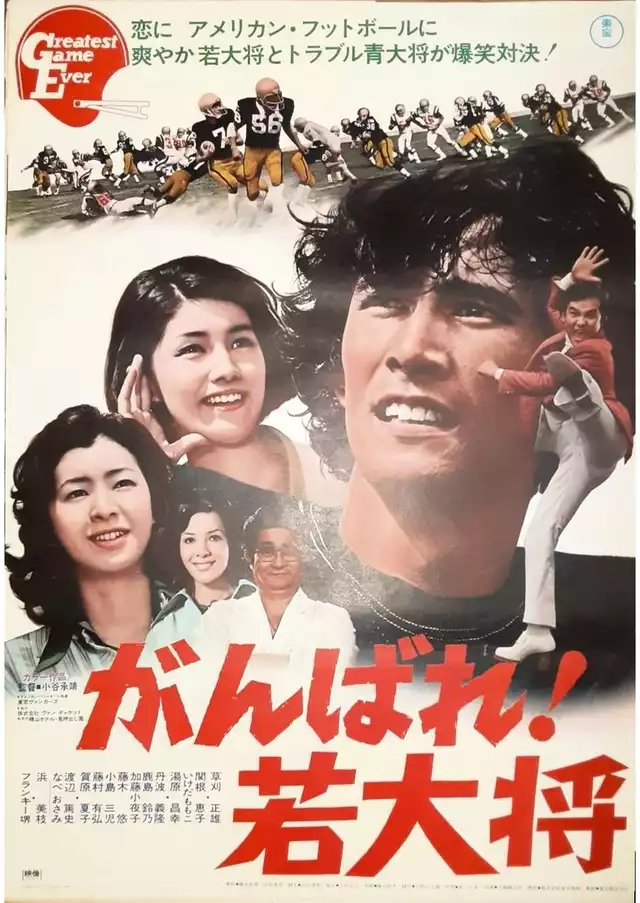 movie vertical poster fallback