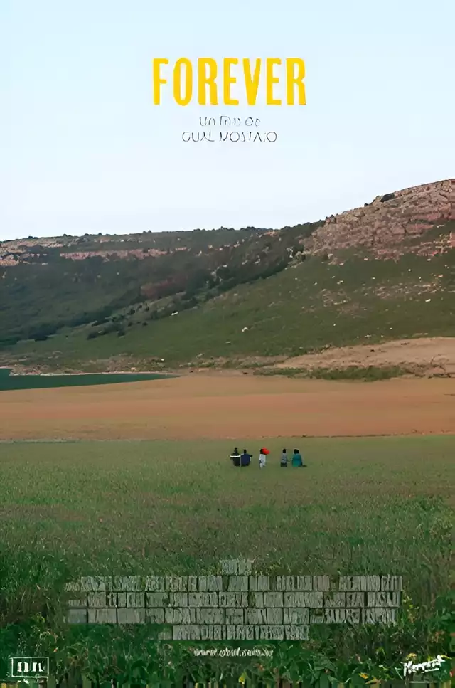 movie vertical poster fallback