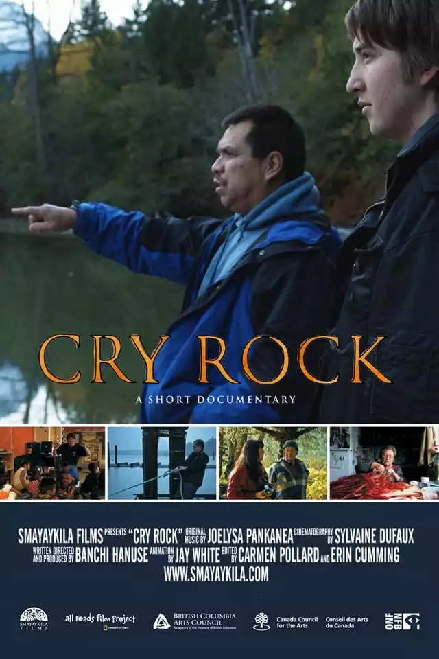 movie vertical poster fallback