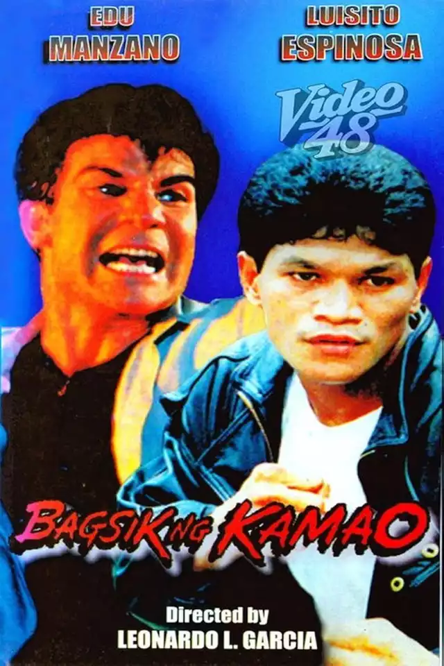 movie vertical poster fallback