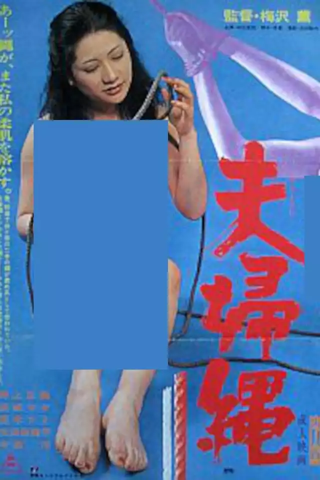 movie vertical poster fallback