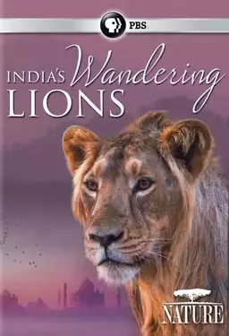 India's Wandering Lions