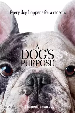 A Dog's Purpose