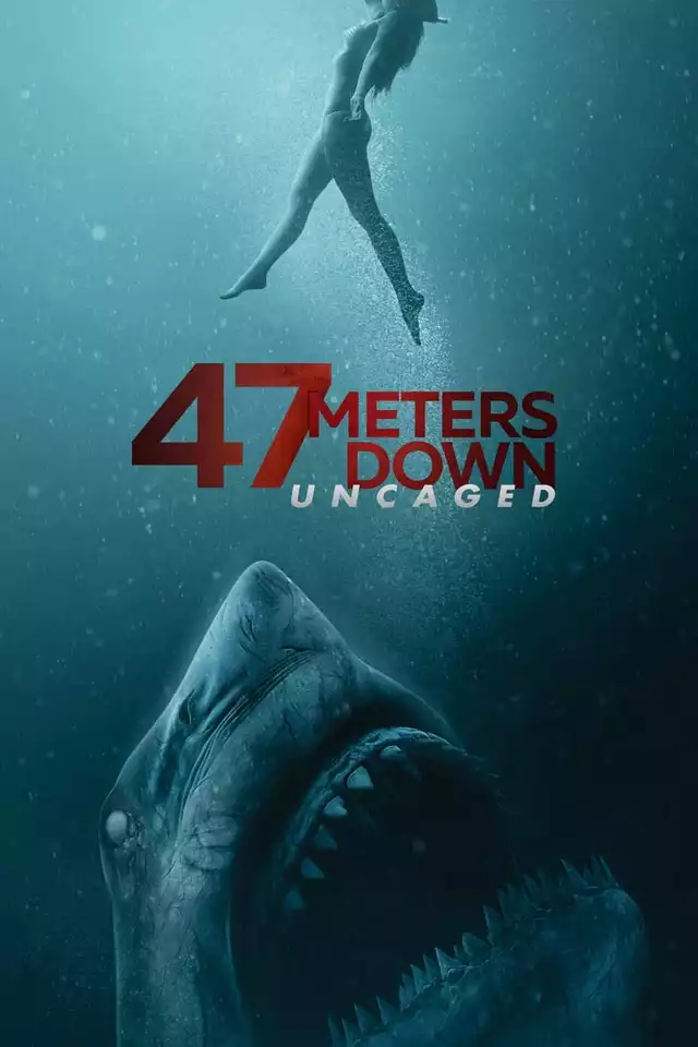 movie vertical poster fallback
