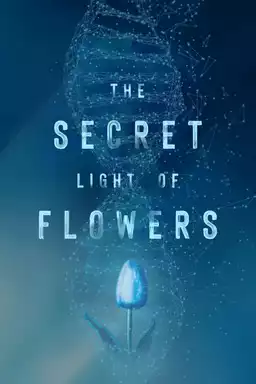 The Secret Light of Flowers