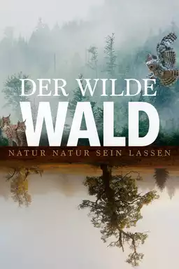 The Wild Forest