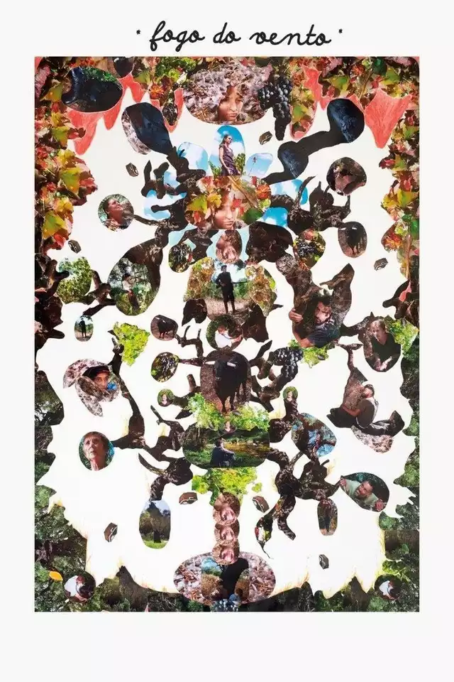 movie vertical poster fallback