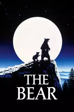 The Bear