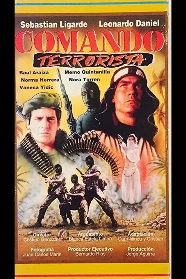 movie vertical poster fallback