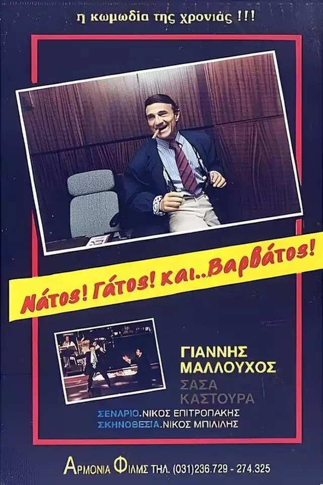 movie vertical poster fallback