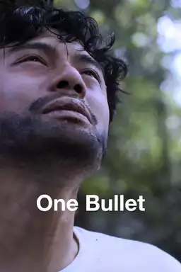 One Bullet