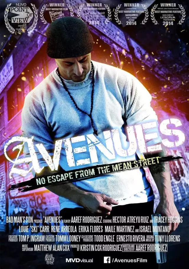 movie vertical poster fallback