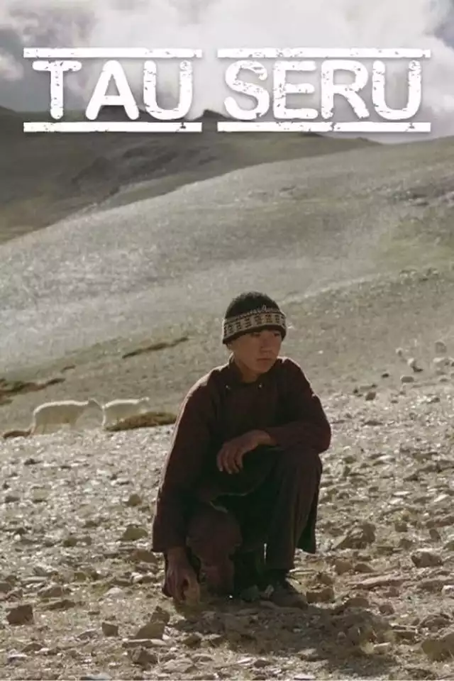 movie vertical poster fallback