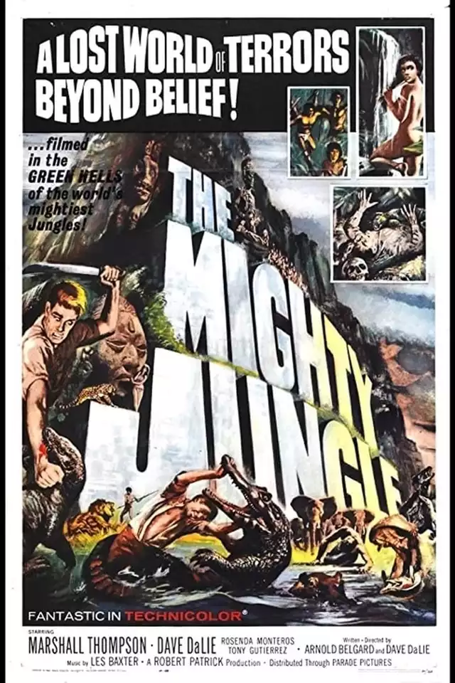 movie vertical poster fallback