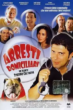 Arresti domiciliari