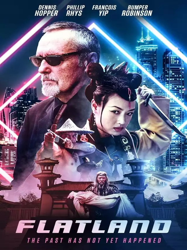 movie vertical poster fallback
