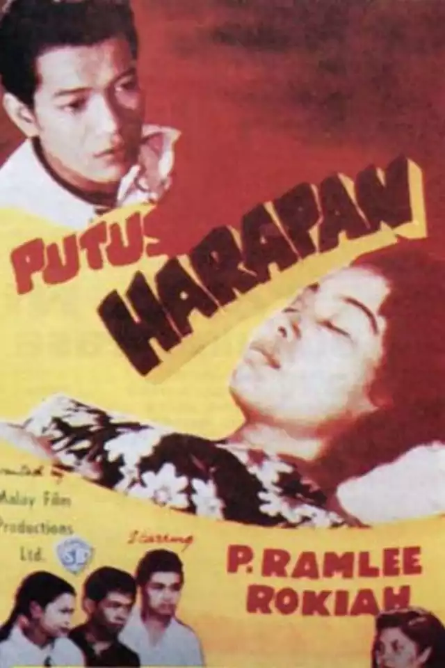 movie vertical poster fallback