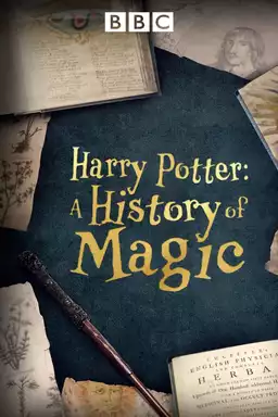 Harry Potter - A History Of Magic
