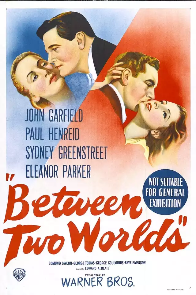 movie vertical poster fallback