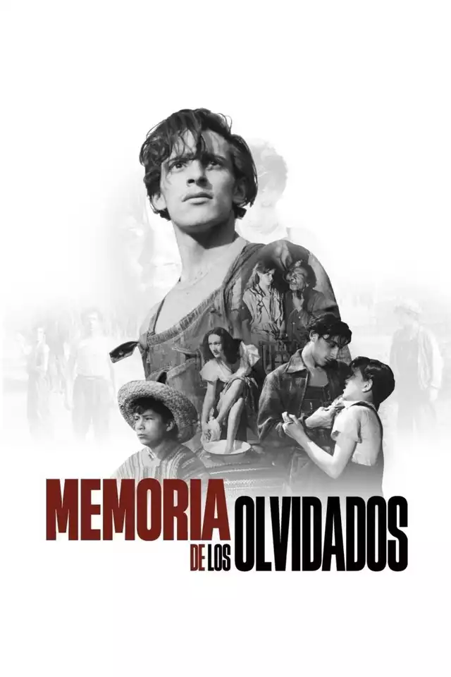 movie vertical poster fallback